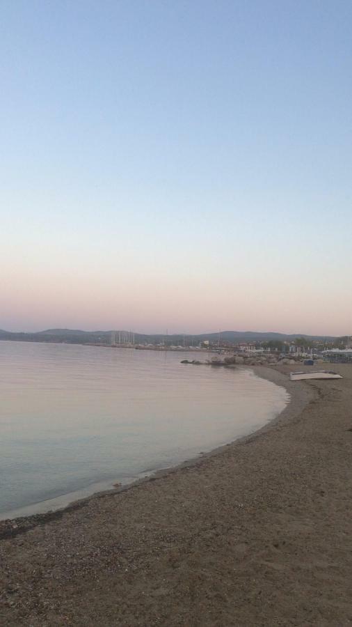 Our little paradise ! Nikiti ! Extérieur photo